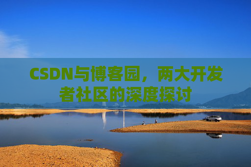 CSDN与博客园，两大开发者社区的深度探讨